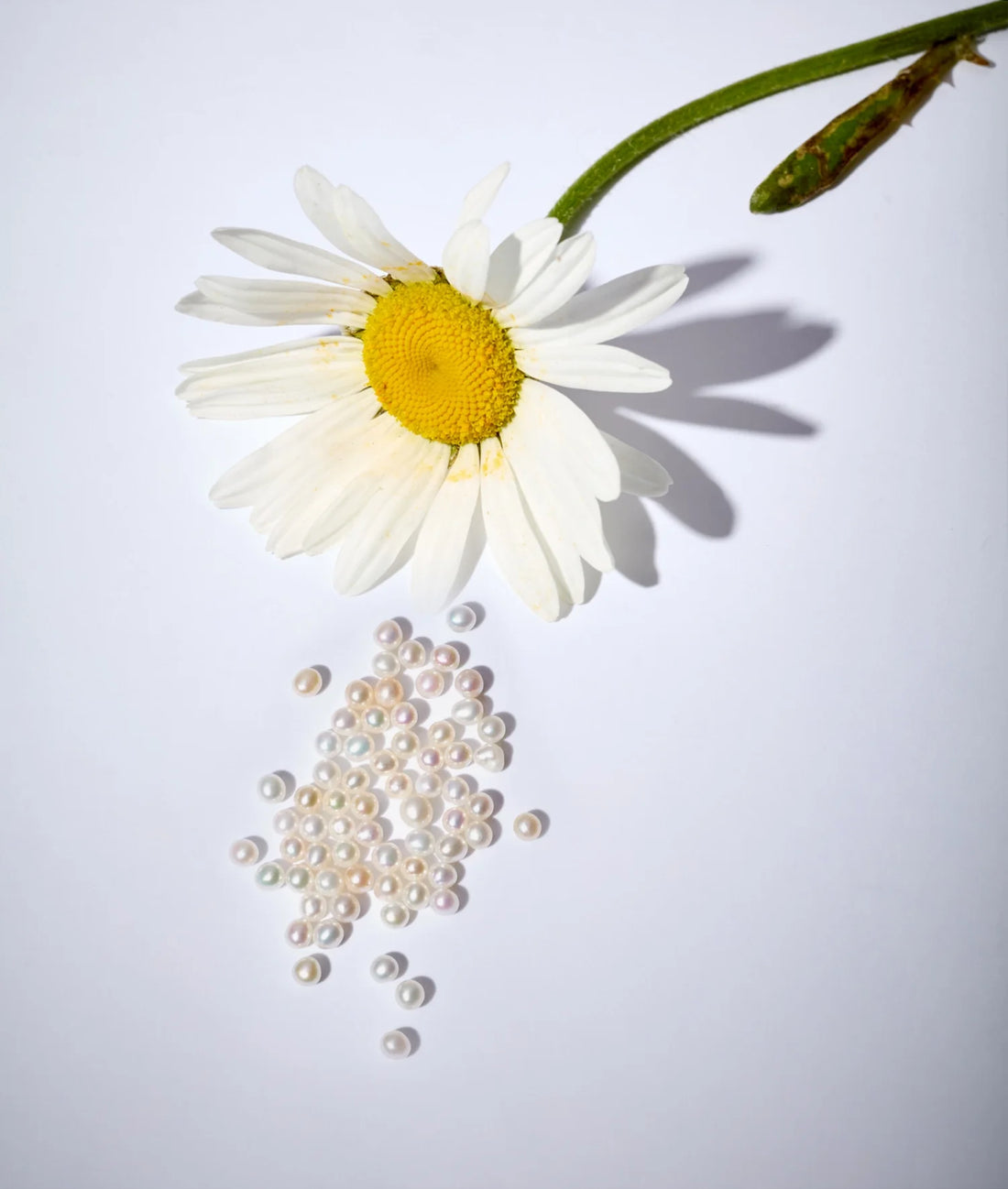 June Birthstone Charm - Pearl